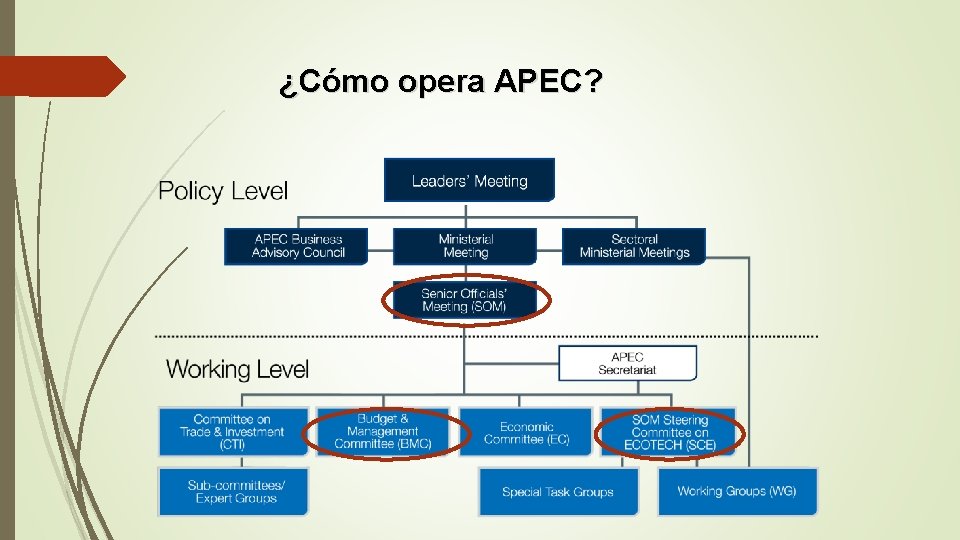 ¿Cómo opera APEC? 