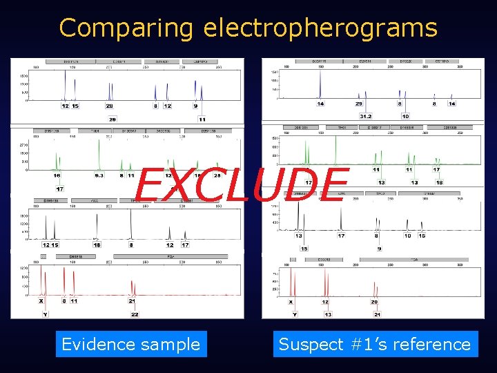 Comparing electropherograms EXCLUDE Evidence sample Suspect #1’s reference 