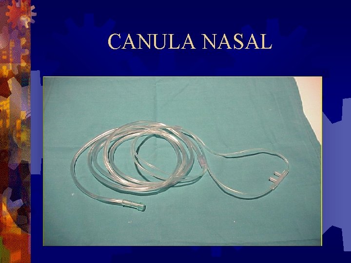 CANULA NASAL CANULA NASAL