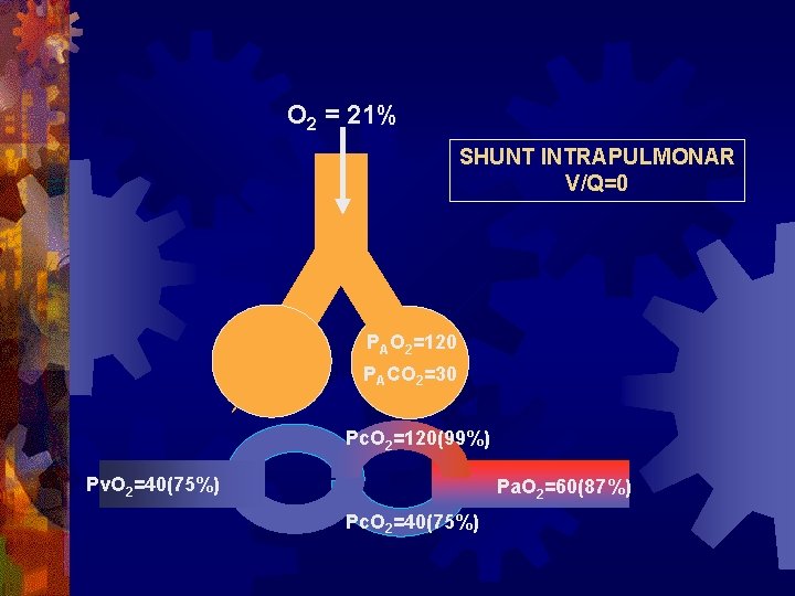 O 2 = 21% SHUNT INTRAPULMONAR V/Q=0 PAO 2=120 PACO 2=30 Pc. O 2=120(99%) O 2 = 21% SHUNT INTRAPULMONAR V/Q=0 PAO 2=120 PACO 2=30 Pc. O 2=120(99%)