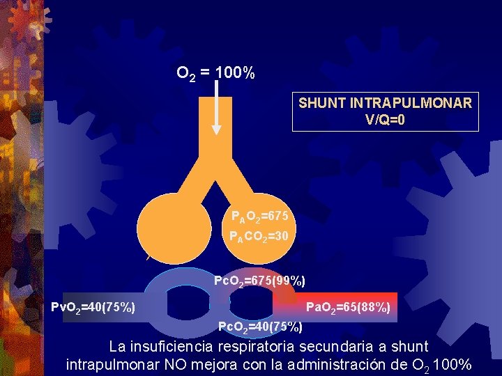O 2 = 100% SHUNT INTRAPULMONAR V/Q=0 PAO 2=675 PACO 2=30 Pc. O 2=675(99%) O 2 = 100% SHUNT INTRAPULMONAR V/Q=0 PAO 2=675 PACO 2=30 Pc. O 2=675(99%)