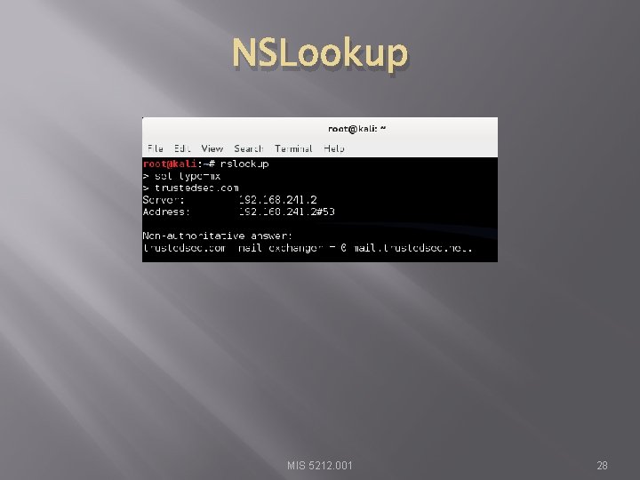 NSLookup MIS 5212. 001 28 