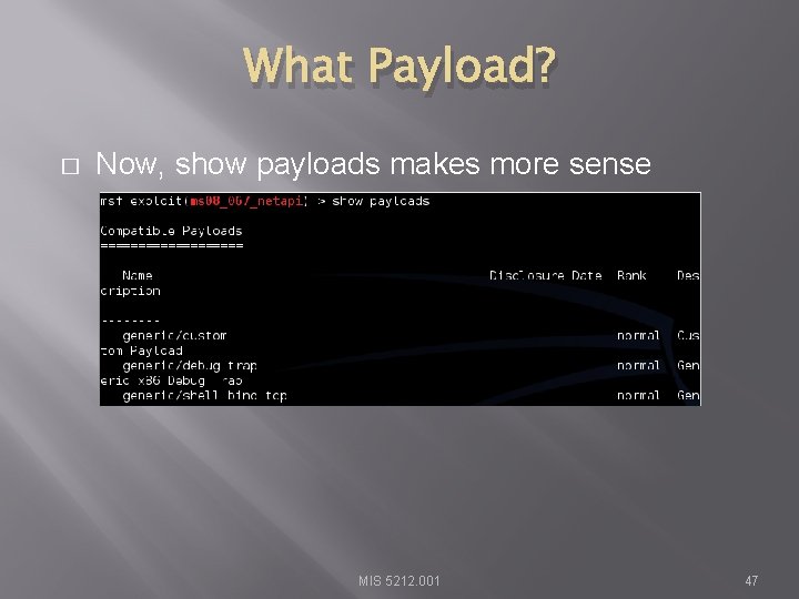 What Payload? � Now, show payloads makes more sense MIS 5212. 001 47 