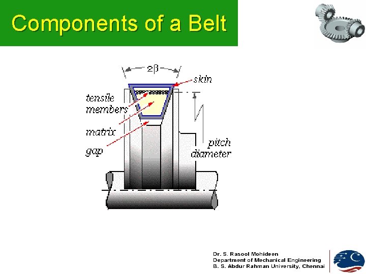 Components of a Belt 