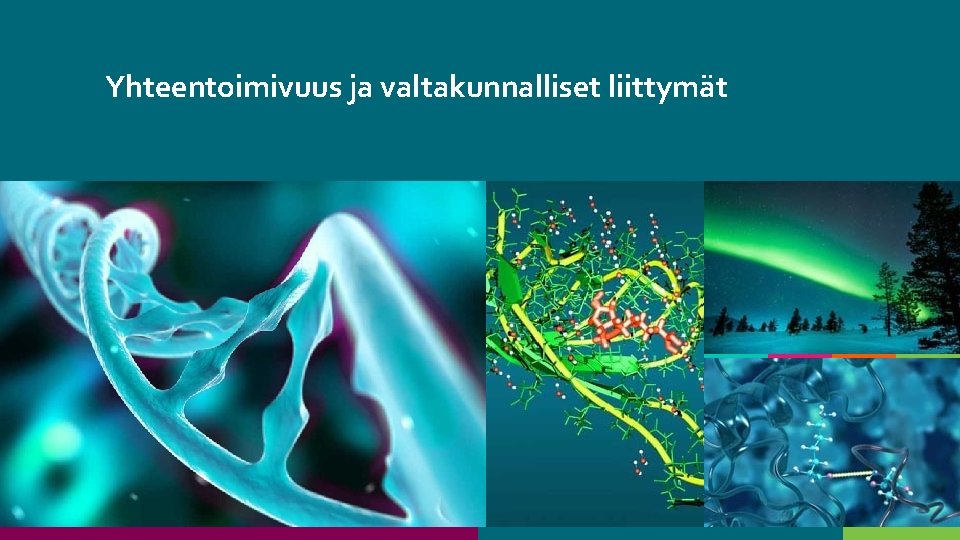 Yhteentoimivuus ja valtakunnalliset liittymät 