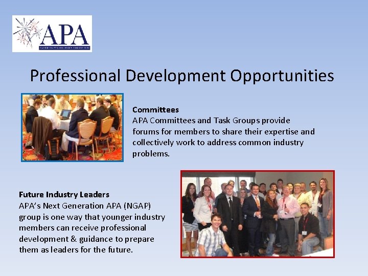 Professional Development Opportunities Committees APA Committees and Task Groups provide forums for members to
