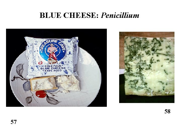 BLUE CHEESE: Penicillium 58 57 