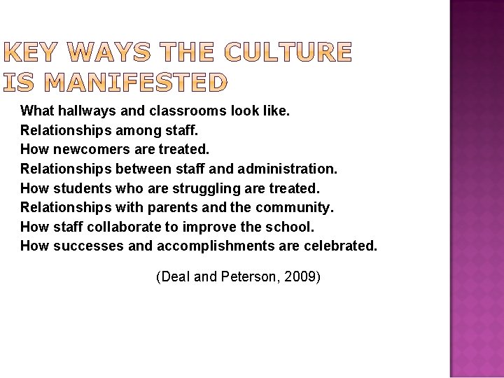 What hallways and classrooms look like. Relationships among staff. How newcomers are treated. Relationships