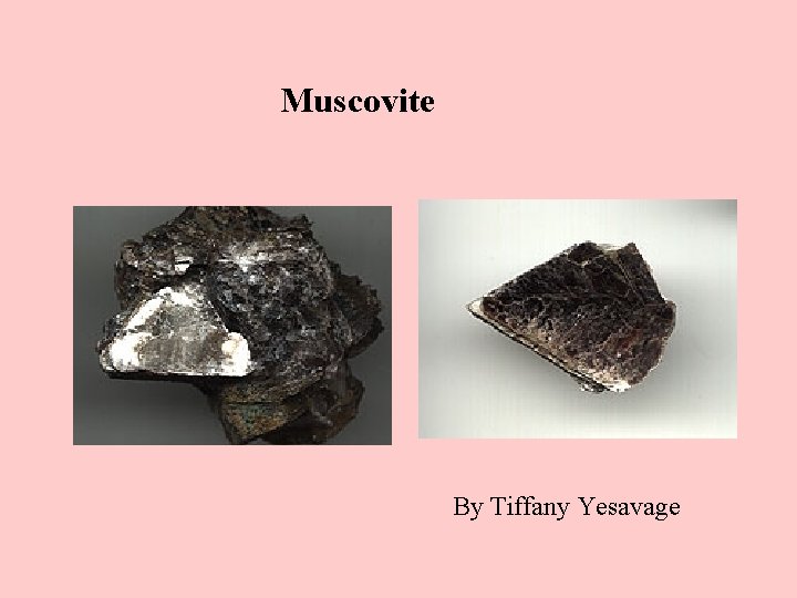 Muscovite By Tiffany Yesavage 