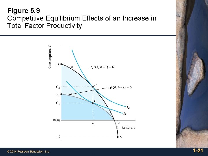 Figure 5. 9 Competitive Equilibrium Effects of an Increase in Total Factor Productivity ©