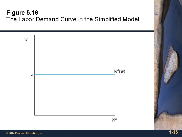 Figure 5. 16 The Labor Demand Curve in the Simplified Model © 2014 Pearson