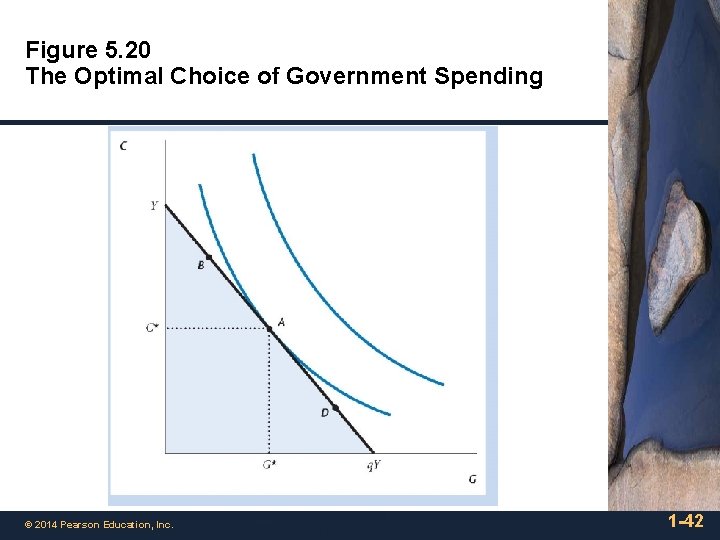Figure 5. 20 The Optimal Choice of Government Spending © 2014 Pearson Education, Inc.