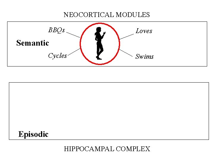 NEOCORTICAL MODULES BBQs Loves Semantic Cycles Swims Episodic HIPPOCAMPAL COMPLEX NEOCORTICAL MODULES BBQs Loves Semantic Cycles Swims Episodic HIPPOCAMPAL COMPLEX