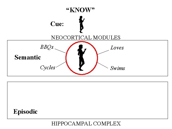 “KNOW” Cue: NEOCORTICAL MODULES BBQs Loves Semantic Cycles Swims Episodic HIPPOCAMPAL COMPLEX “KNOW” Cue: NEOCORTICAL MODULES BBQs Loves Semantic Cycles Swims Episodic HIPPOCAMPAL COMPLEX