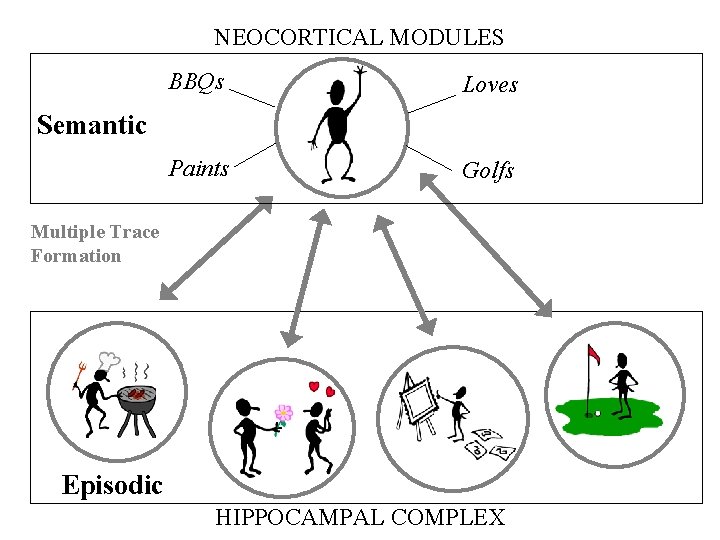 NEOCORTICAL MODULES BBQs Loves Paints Golfs Semantic Multiple Trace Formation Episodic HIPPOCAMPAL COMPLEX NEOCORTICAL MODULES BBQs Loves Paints Golfs Semantic Multiple Trace Formation Episodic HIPPOCAMPAL COMPLEX