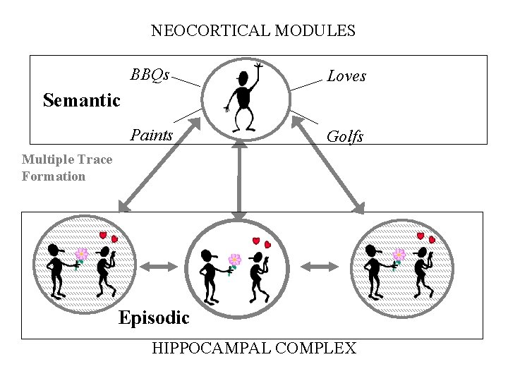 NEOCORTICAL MODULES BBQs Loves Paints Golfs Semantic Multiple Trace Formation Episodic HIPPOCAMPAL COMPLEX NEOCORTICAL MODULES BBQs Loves Paints Golfs Semantic Multiple Trace Formation Episodic HIPPOCAMPAL COMPLEX