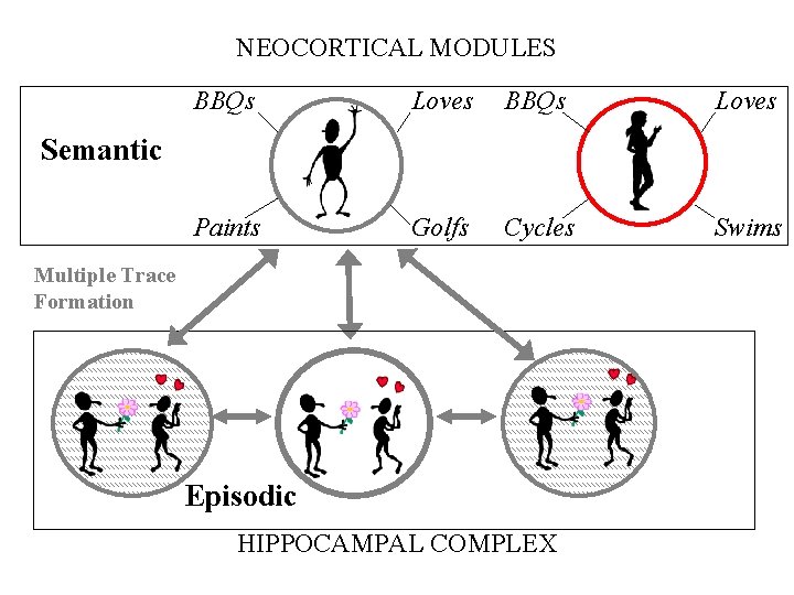 NEOCORTICAL MODULES BBQs Loves Paints Golfs Cycles Swims Semantic Multiple Trace Formation Episodic HIPPOCAMPAL NEOCORTICAL MODULES BBQs Loves Paints Golfs Cycles Swims Semantic Multiple Trace Formation Episodic HIPPOCAMPAL