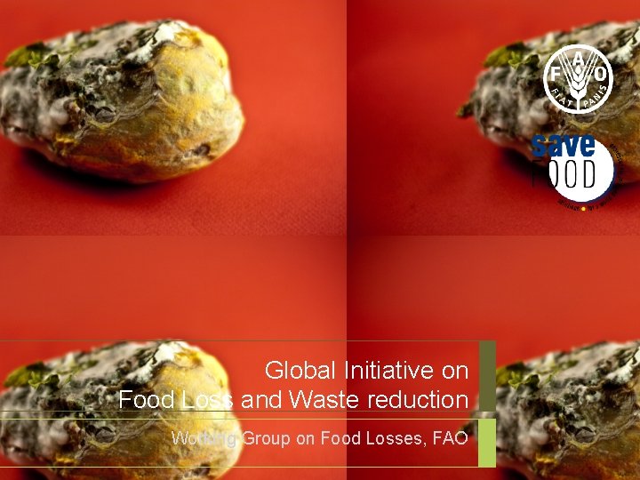 Global Initiative on Food Loss and Waste reduction Working Group on Food Losses, FAO