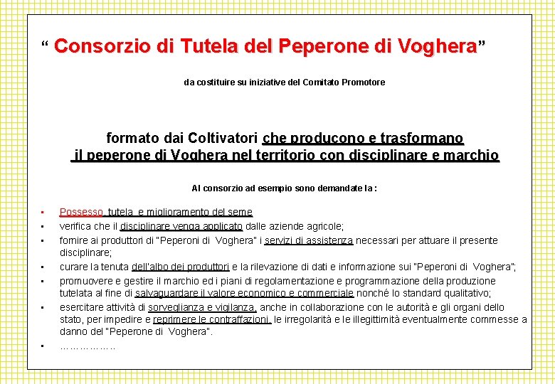 “ Consorzio di Tutela del Peperone di Voghera ” da costituire su iniziative del