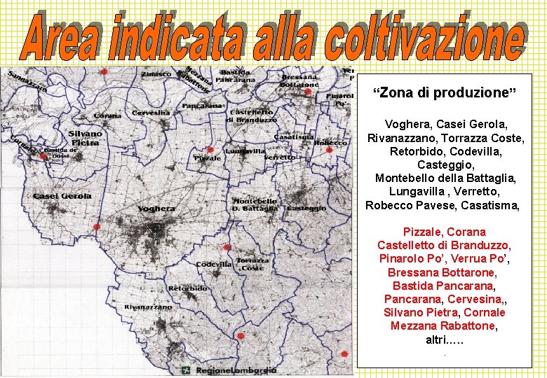 “Zona di produzione” Voghera, Casei Gerola, Rivanazzano, Torrazza Coste, Retorbido, Codevilla, Casteggio, Montebello della