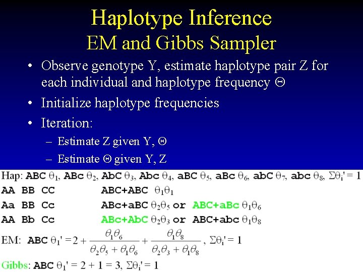 Haplotype Inference EM and Gibbs Sampler • Observe genotype Y, estimate haplotype pair Z