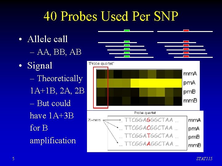 40 Probes Used Per SNP • Allele call – AA, BB, AB • Signal