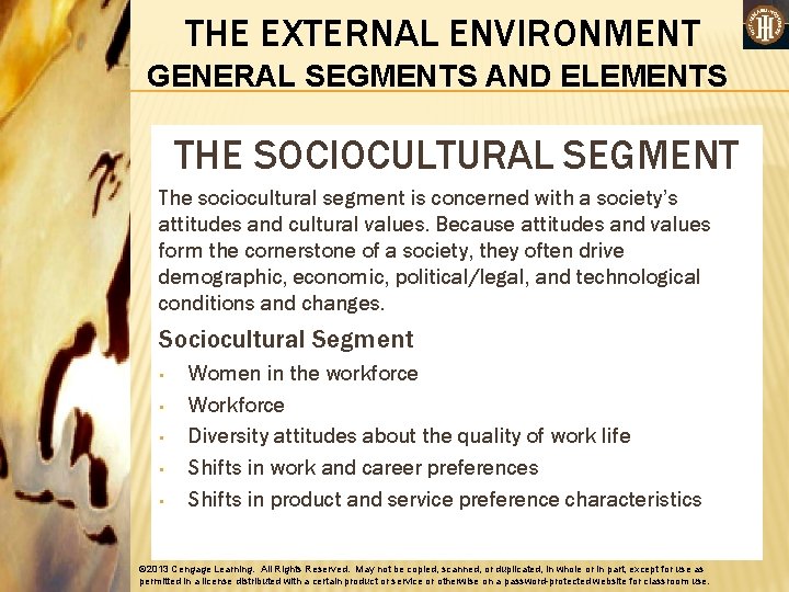 THE EXTERNAL ENVIRONMENT GENERAL SEGMENTS AND ELEMENTS THE SOCIOCULTURAL SEGMENT The sociocultural segment is