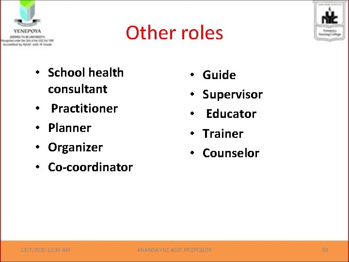 Other roles • School health consultant • Practitioner • Planner • Organizer • Co-coordinator