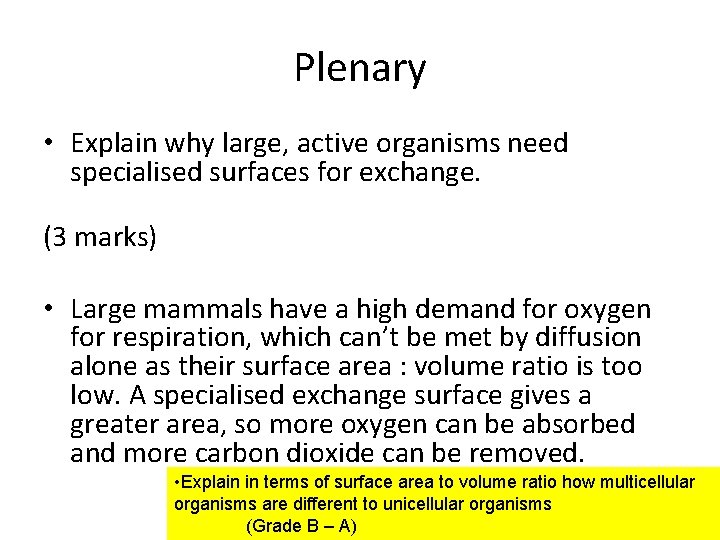 Plenary • Explain why large, active organisms need specialised surfaces for exchange. (3 marks) Plenary • Explain why large, active organisms need specialised surfaces for exchange. (3 marks)