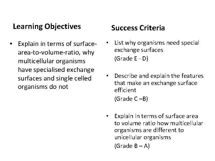 Learning Objectives • Explain in terms of surfacearea-to-volume-ratio, why multicellular organisms have specialised exchange Learning Objectives • Explain in terms of surfacearea-to-volume-ratio, why multicellular organisms have specialised exchange