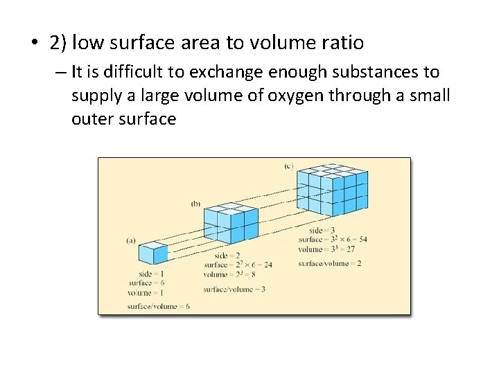 • 2) low surface area to volume ratio – It is difficult to • 2) low surface area to volume ratio – It is difficult to