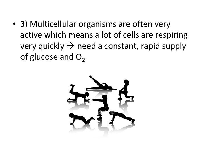 • 3) Multicellular organisms are often very active which means a lot of • 3) Multicellular organisms are often very active which means a lot of