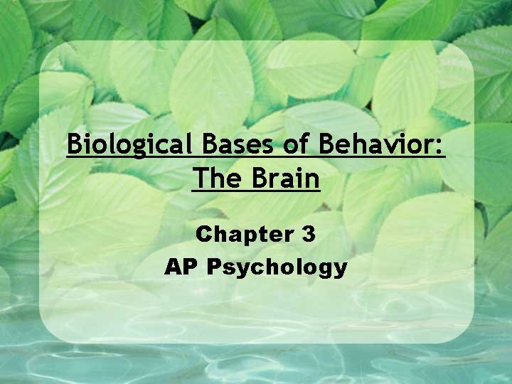 Biological Bases of Behavior: The Brain Chapter 3 AP Psychology 