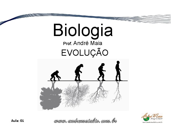 Biologia Prof. André Maia EVOLUÇÃO Aula: 01 