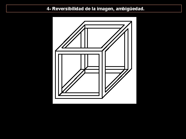 4 - Reversibilidad de la imagen, ambigüedad. 4 - Reversibilidad de la imagen, ambigüedad.