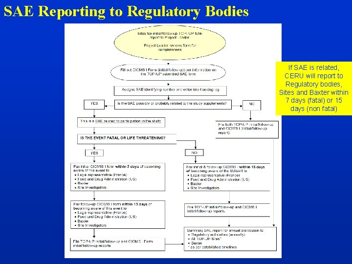SAE Reporting to Regulatory Bodies If SAE is related, CERU will report to Regulatory
