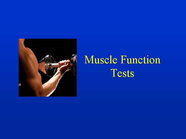 Muscle Function Tests 