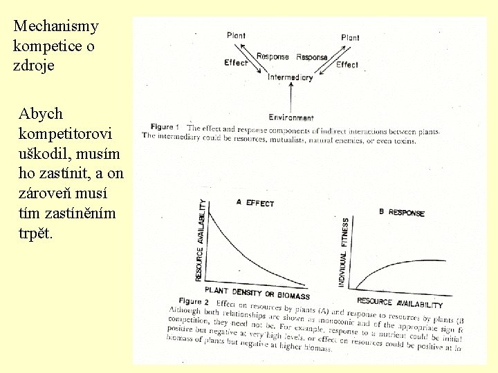 Mechanismy kompetice o zdroje Abych kompetitorovi uškodil, musím ho zastínit, a on zároveň musí