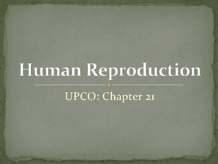 Human Reproduction UPCO: Chapter 21 