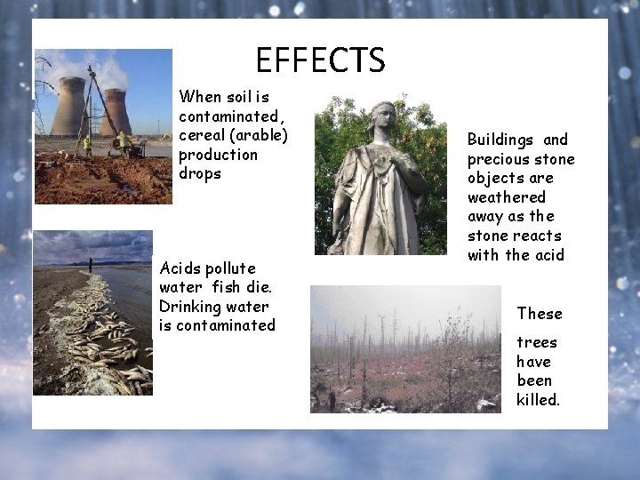 EFFECTS When soil is contaminated, cereal (arable) production drops Acids pollute water fish die. EFFECTS When soil is contaminated, cereal (arable) production drops Acids pollute water fish die.