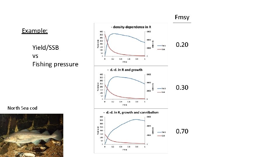 Example: Yield/SSB vs Fishing pressure North Sea cod Example: Yield/SSB vs Fishing pressure North Sea cod