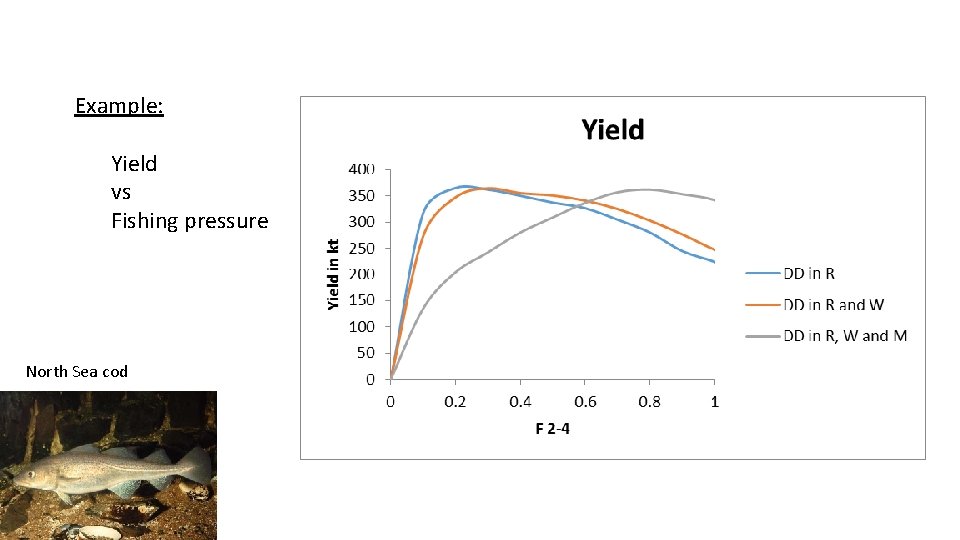 Example: Yield vs Fishing pressure North Sea cod Example: Yield vs Fishing pressure North Sea cod