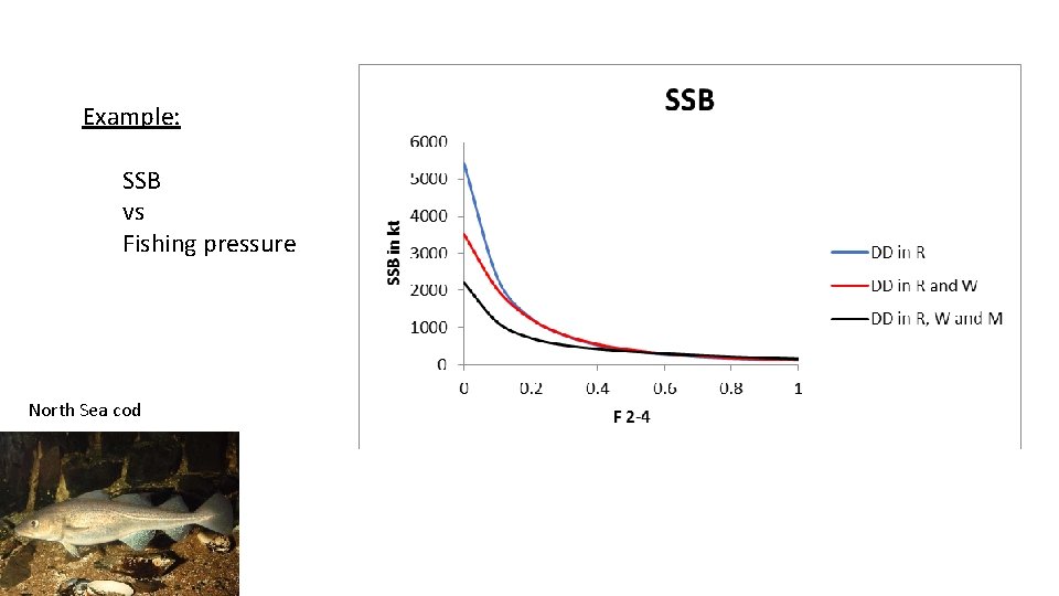 Example: SSB vs Fishing pressure North Sea cod Example: SSB vs Fishing pressure North Sea cod