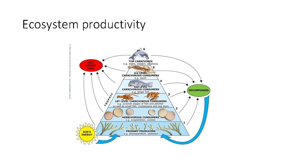 Ecosystem productivity Ecosystem productivity