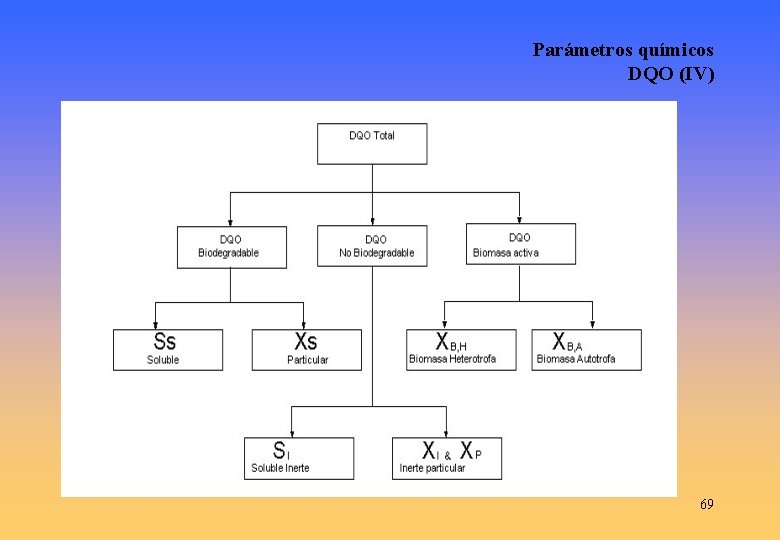 Parámetros químicos DQO (IV) 69 