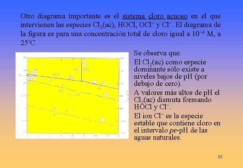 Otro diagrama importante es el sistema cloro acuoso en el que intervienen las especies