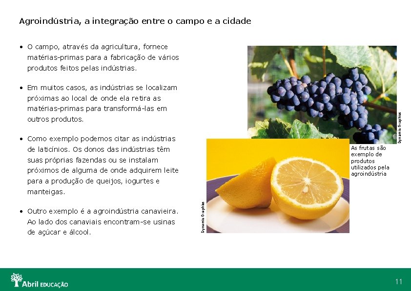 Agroindústria, a integração entre o campo e a cidade • O campo, através da