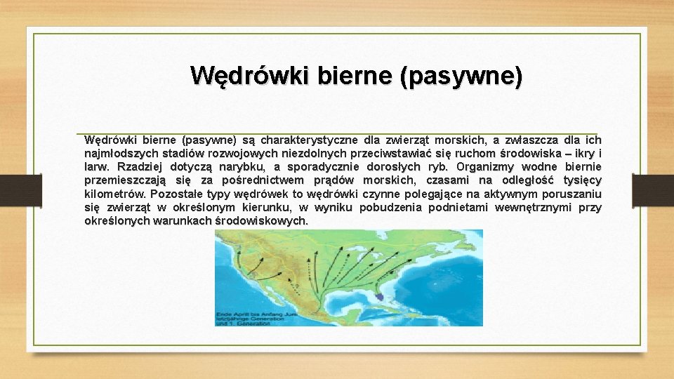 Wędrówki bierne (pasywne) są charakterystyczne dla zwierząt morskich, a zwłaszcza dla ich najmłodszych stadiów