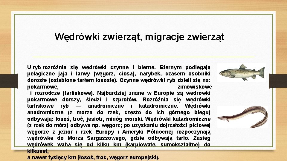 Wędrówki zwierząt, migracje zwierząt U ryb rozróżnia się wędrówki czynne i bierne. Biernym podlegają Wędrówki zwierząt, migracje zwierząt U ryb rozróżnia się wędrówki czynne i bierne. Biernym podlegają
