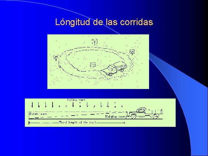 Lóngitud de las corridas 